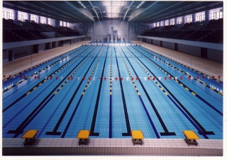 2025年度　中国小・中学高校生選手権水泳競技大会結果画像